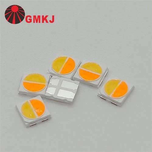 2in1 Dual Color 3000K 6000K 3030 SMD LED 1W